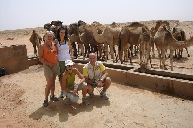 Imperial City Tours Morocco - The Sum Up: Is This Tour Right for You?