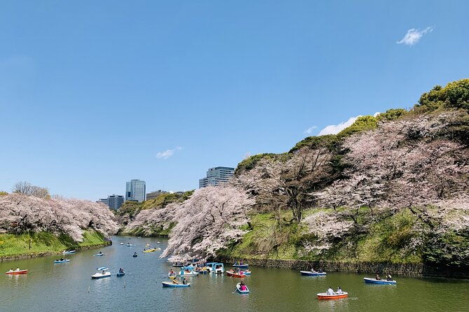 imperial-palace-and-heritage-of-edo-castle-private-tour