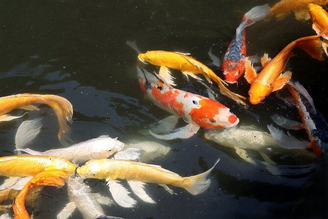 imperial-palace-east-garden-and-heritage-of-edo-castle-tour