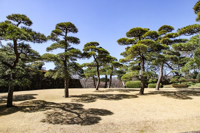 Imperial Palace to Tokyo Station Historical Walking Tour - The Sum Up