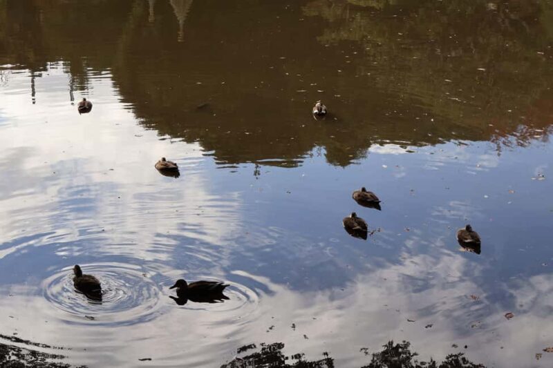 Imperial Palace Tour: Discover Samurai History with a Guide - FAQ