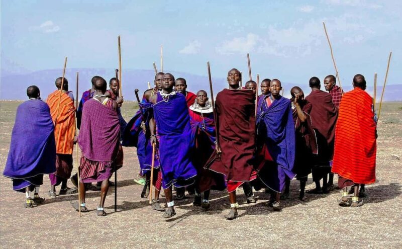 Impressive Tanzania, 7 Day Small Group Lodge Safari - Exploring the Itinerary and Its Highlights