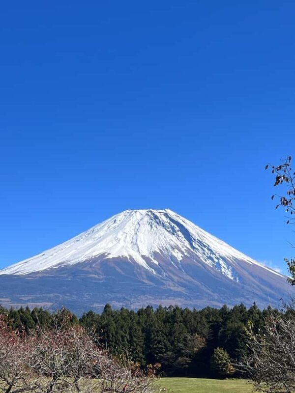 In 2026, Mt. Fuji: 2-Day Climbing Tour with Mountain Guide - The Value Proposition: Are You Getting Your Money’s Worth?