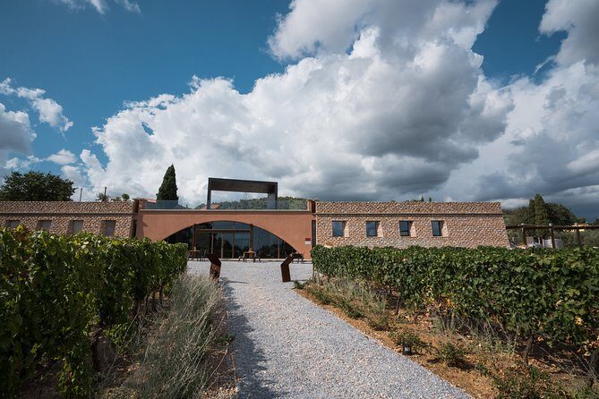 In a carriage among the vineyards, visit of the cellar, tasting of organic wines. - A Scenic Journey Through Tuscany’s Vineyards in a Carriage