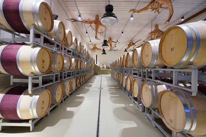 In a carriage among the vineyards, visit of the cellar, tasting of organic wines. - Is This Tour Right for You?