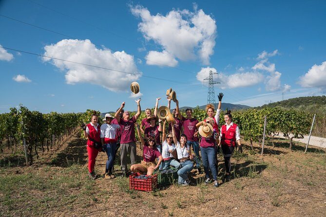 In a carriage among the vineyards, visit of the cellar, tasting of organic wines. - Final Thoughts