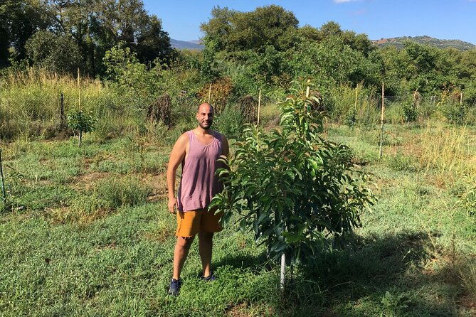 in-crete-discover-the-miracle-of-olive-oil-and-organic-fruits