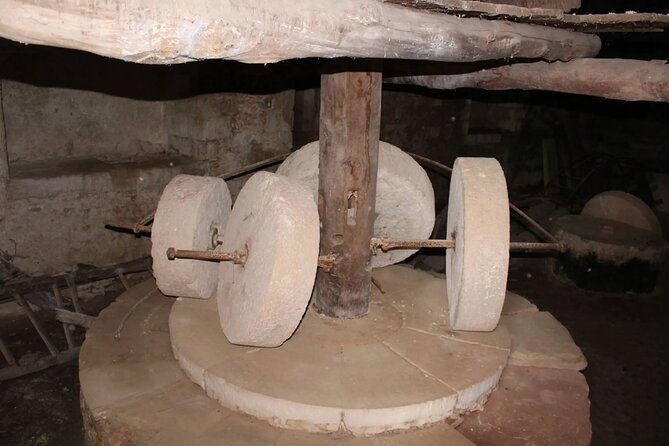 in-crete-discover-the-miracle-of-olive-oil-and-organic-fruits