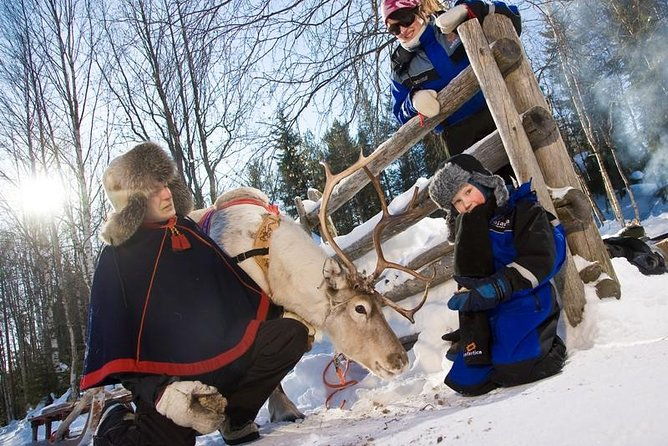 in-pursuit-of-reindeer-snowmobile-safari-to-reindeer-farm-in-rovaniemi