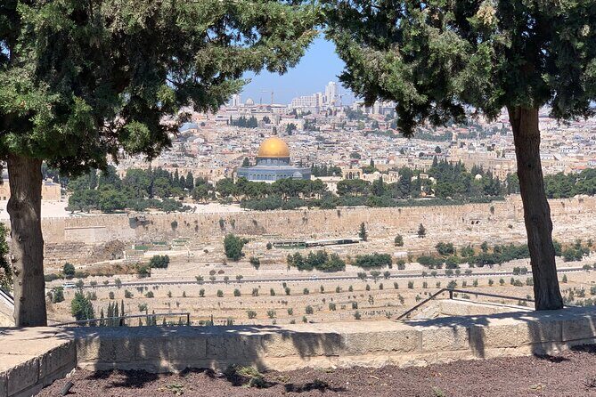 In The Footsteps of Jesus Day Tour - Dguide Self Guiding App - Why This Tour Works for You
