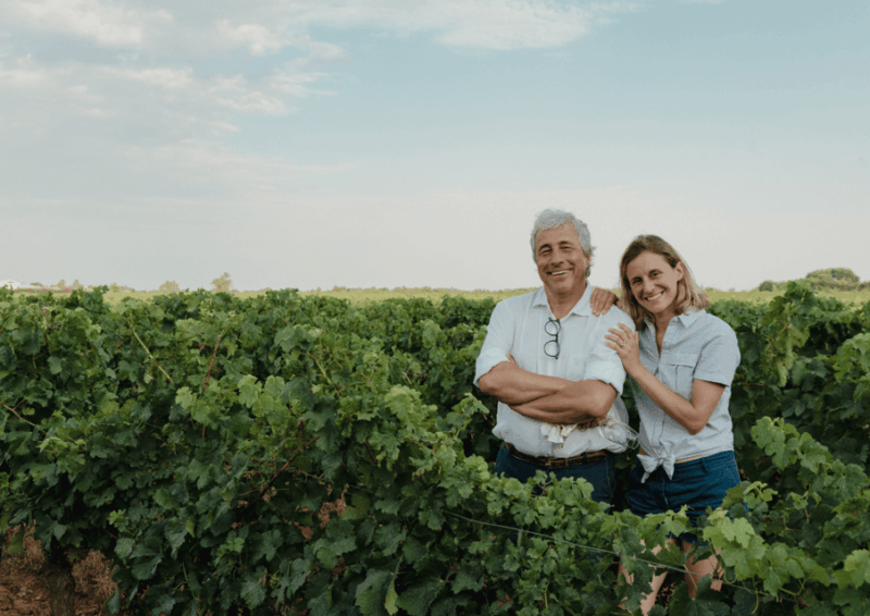 in-the-skin-of-a-winemaker