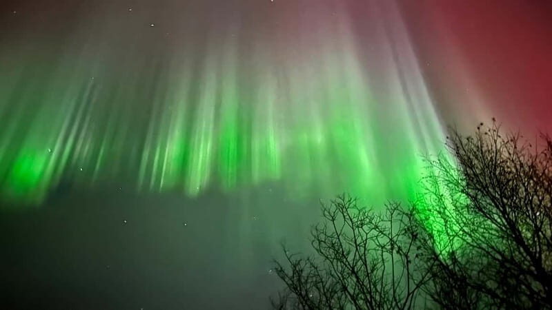 Inari/Ivalo: Aurora Hunting Tour by Car with Warm Drinks - Photography and Learning