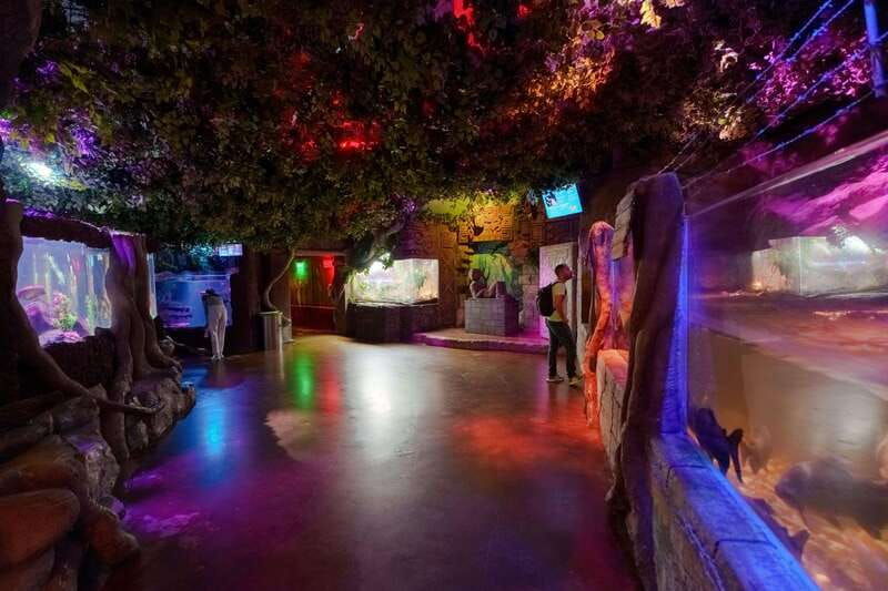 inbursa-aquarium-entry-ticket-with-vr-option