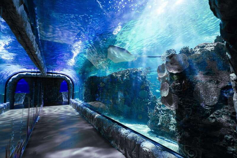inbursa-aquarium-entry-ticket-with-vr-option