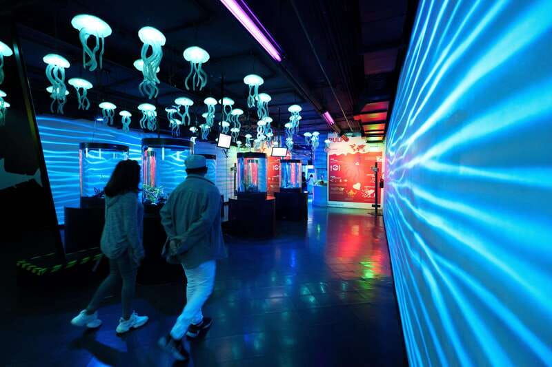 inbursa-aquarium-entry-ticket-with-vr-option