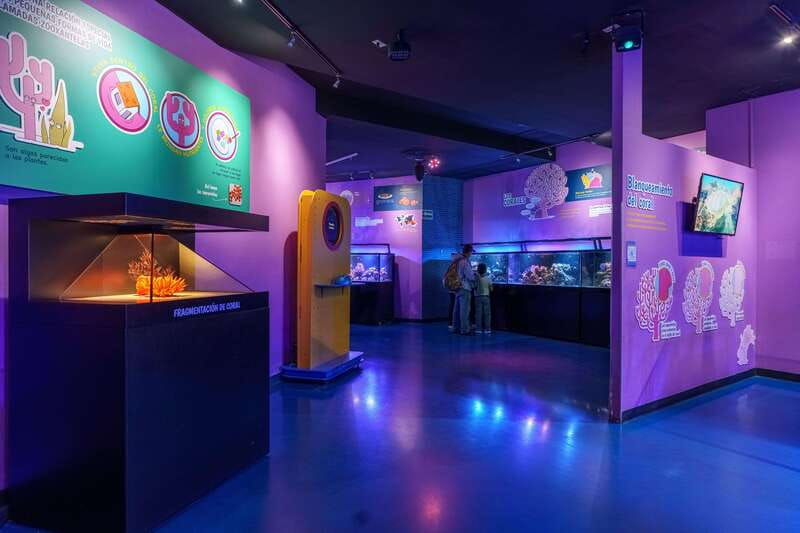 inbursa-aquarium-entry-ticket-with-vr-option