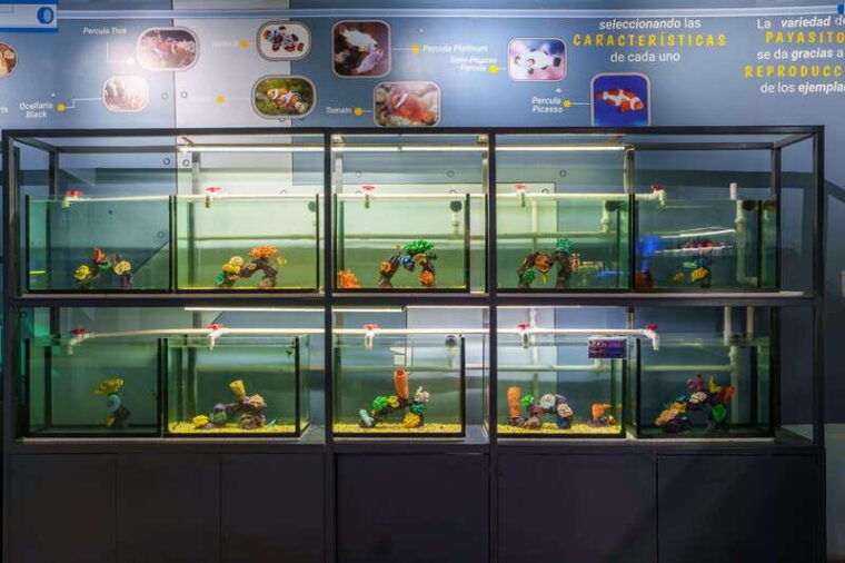 inbursa-aquarium-entry-ticket-with-vr-option