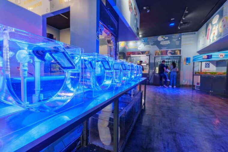 inbursa-aquarium-entry-ticket-with-vr-option