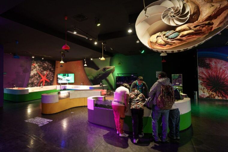 inbursa-aquarium-entry-ticket-with-vr-option