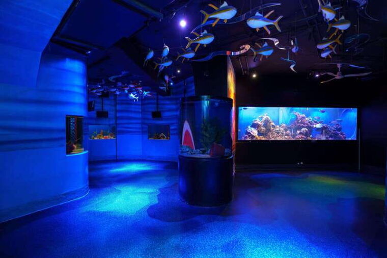 inbursa-aquarium-entry-ticket-with-vr-option
