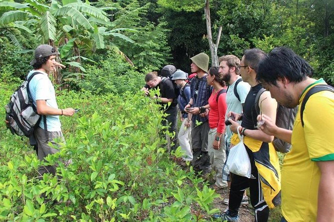 inca-jungle-tour-to-machu-picchu-4d-3n-standard