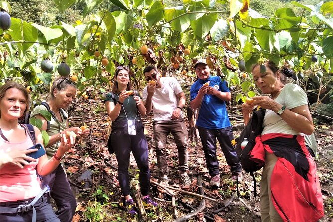 inca-jungle-trail-to-machu-picchu-3-days-and-2-nights-with-dome