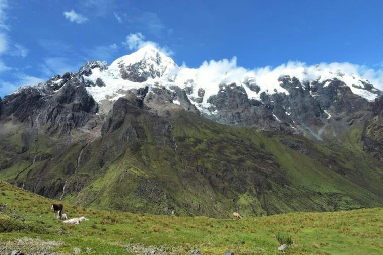 inca-jungle-trek-to-machu-picchu-4-days-3-nights