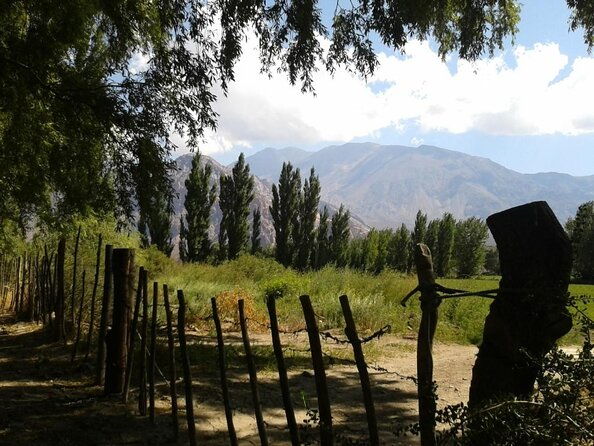inca-lagoon-in-andes-mountain-range-visit-local-vineyard-with-tasting-included