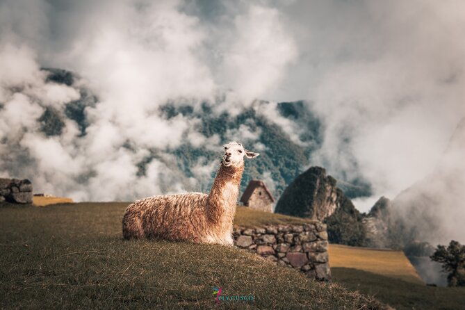 inca-trail-2-day-machu-picchu-and-waynapicchu-optional