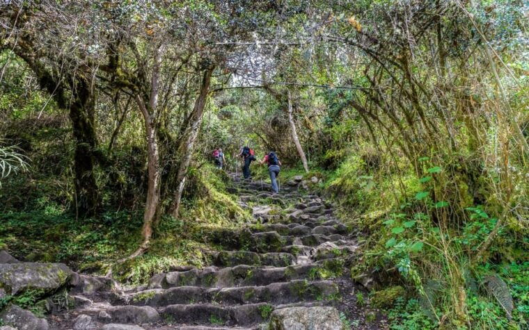 inca-trail-to-machu-picchu-4-days-2
