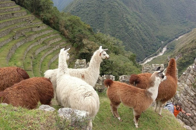 inca-trail-trek-2-days-1-night