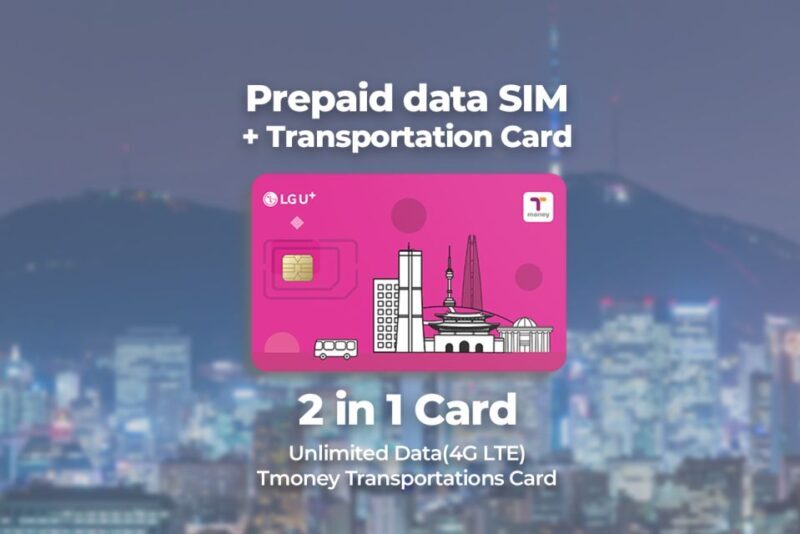 Incheon Airport: Traveler SIM & T-money Transportation Card - Why You’ll Love This Experience