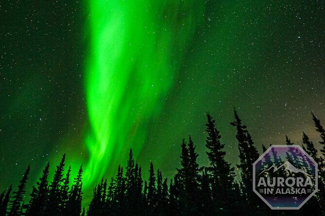 incredible-aurora-viewing-adventure