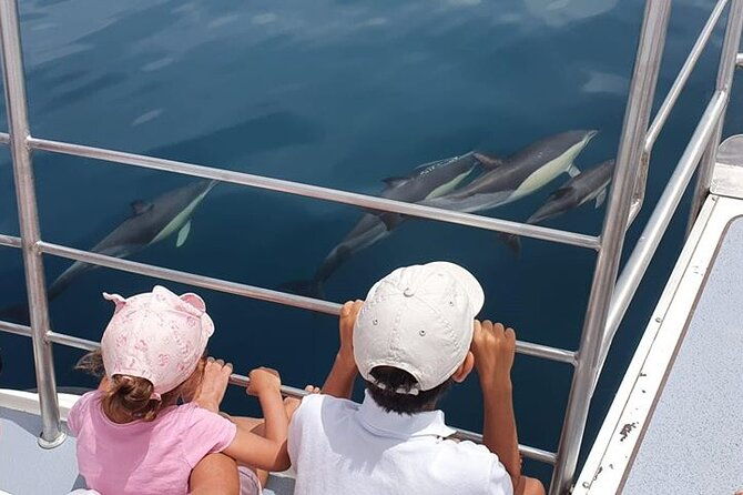 incredible-dolphin-watching-experience-on-our-family-friendly-catamaran-lagos