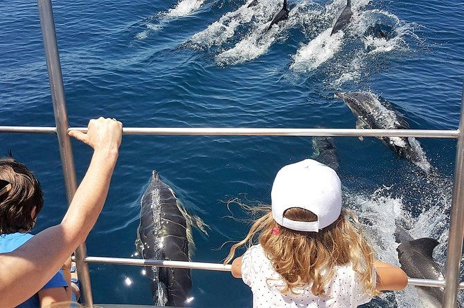 incredible-dolphin-watching-experience-on-our-family-friendly-catamaran-lagos