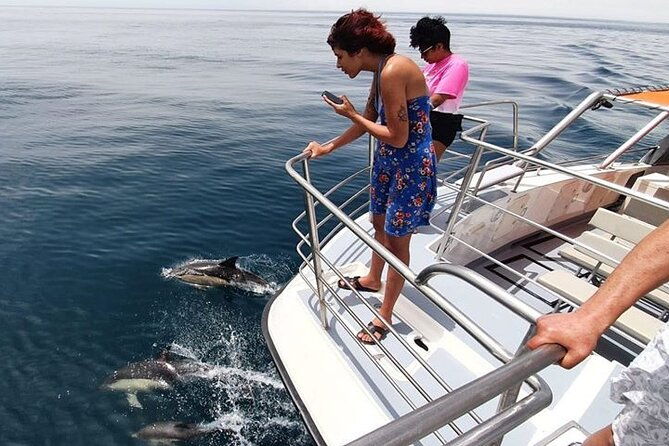 incredible-dolphin-watching-experience-on-our-family-friendly-catamaran-lagos
