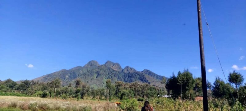 Incredible gorilla Trekking experience in Rwanda - Final Thoughts