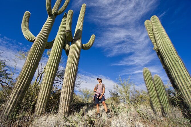 incredible-hidden-valley-guided-hike-in-phoenix-arizona