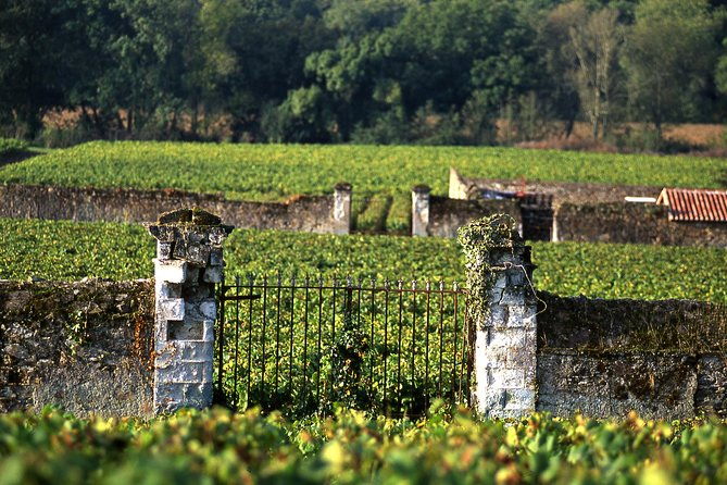 incredible-loire-castles-tour-with-wine-tastings-and-lunch-2