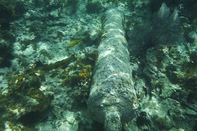 incredible-negril-guided-snorkeling-to-reef-anchor-and-cannon