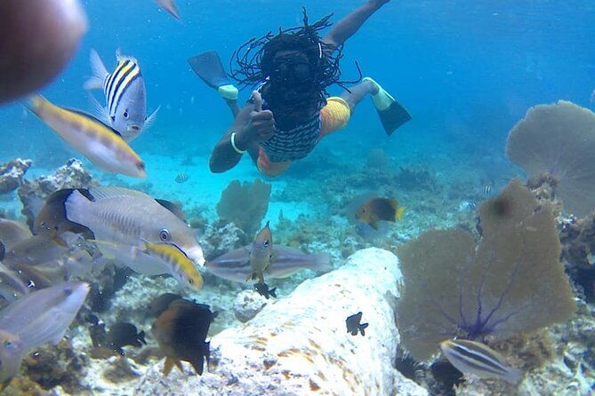 incredible-negril-guided-snorkeling-to-reef-anchor-and-cannon