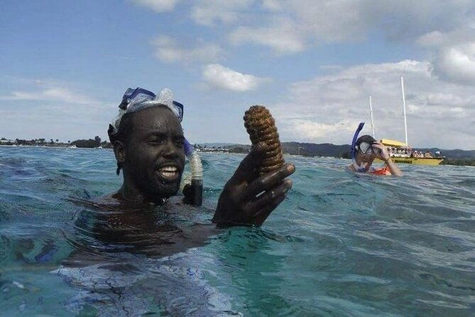 incredible-negril-guided-snorkeling-to-reef-anchor-and-cannon