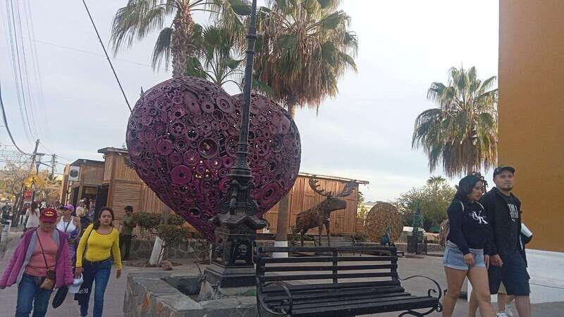 Incredible Private Tour to Todos Santos Magical Town - Who Will Love This Experience?