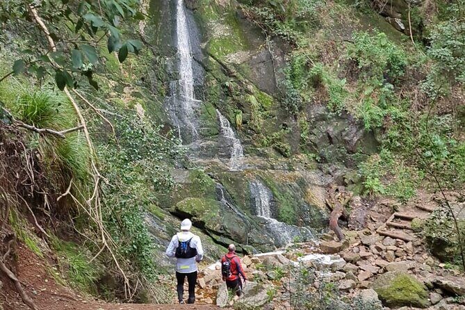 Incredible Table Mountain Guided Day Hike or Trail Run - A Closer Look at the Tour Experience