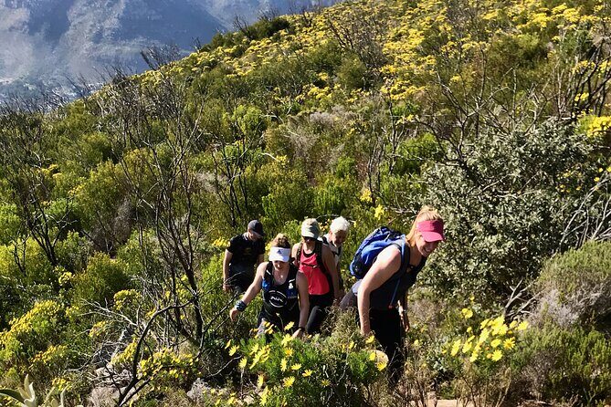 Incredible Table Mountain Guided Day Hike or Trail Run - FAQ