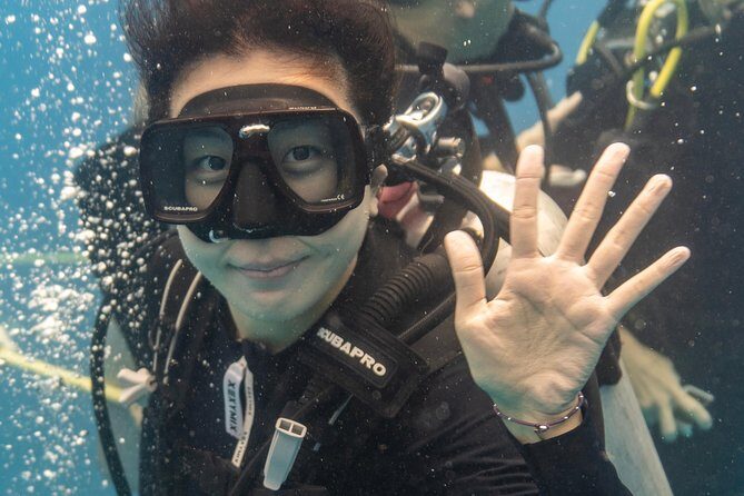 Incredibly Fun 2-Tank Coral Reef South Shore Boat Dive in Oahu from Waikiki - What to Expect on the Day