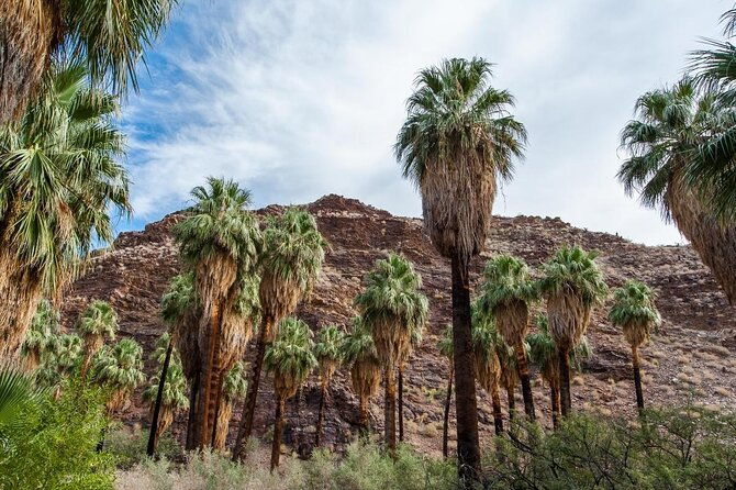 indian-canyons-hiking-tour-by-jeep-from-palm-springs