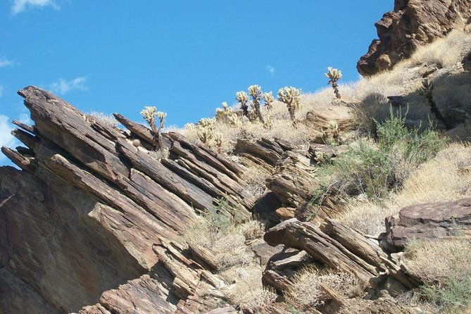 indian-canyons-hiking-tour-by-jeep-from-palm-springs