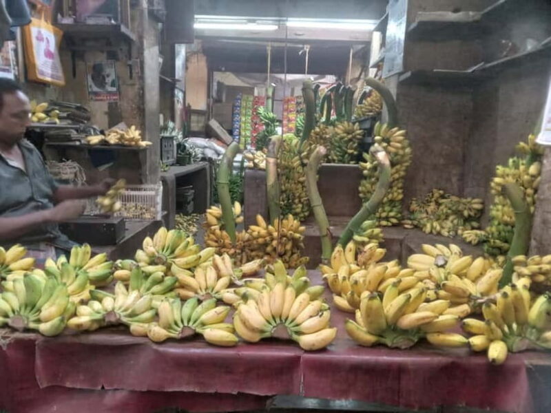 Indian Cooking & Market Tour in Pondicherry with Manisha Ray - Final Thoughts