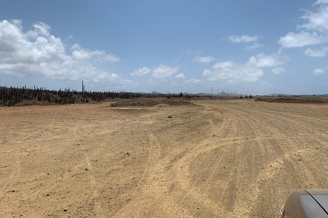 indian-inscriptions-tour-with-local-guide